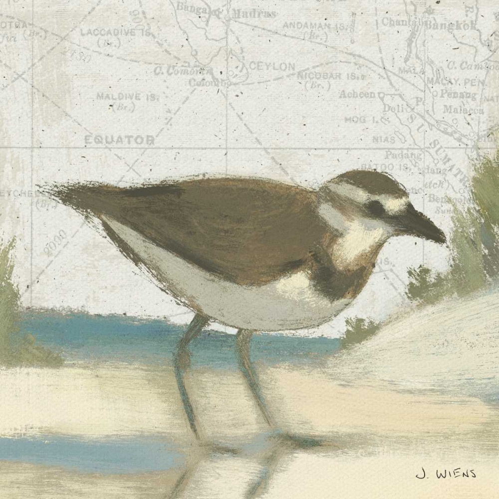 Wall Art Painting id:20943, Name: Beach Bird III, Artist: Wiens, James