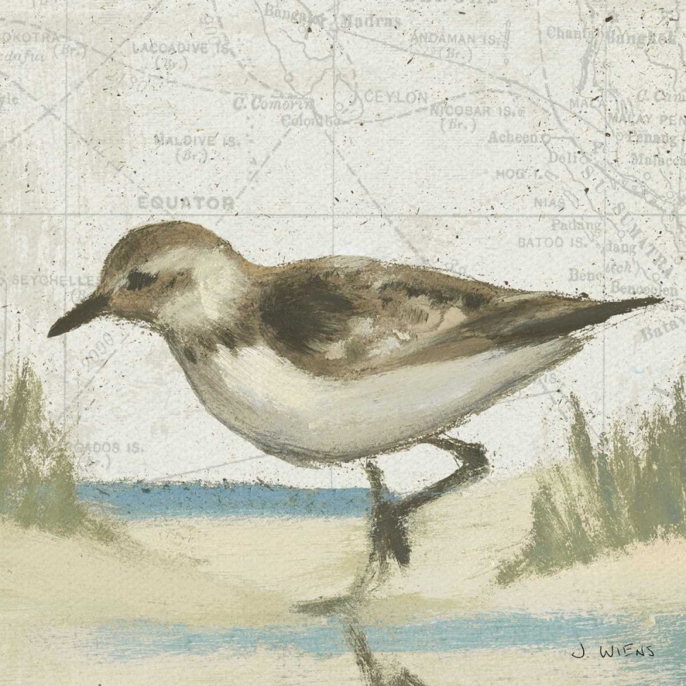Wall Art Painting id:20944, Name: Beach Bird IV, Artist: Wiens, James