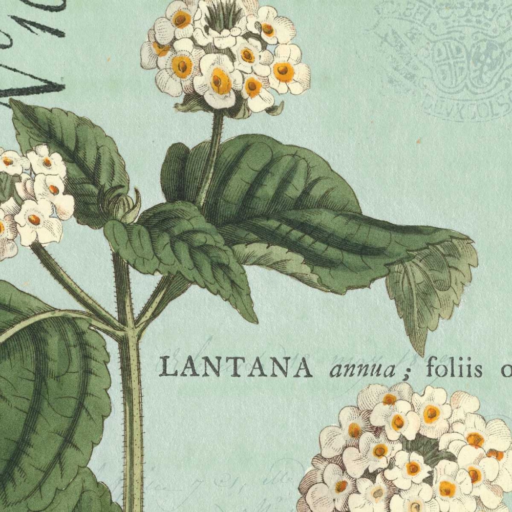 Wall Art Painting id:28414, Name: Botanique Bleu I, Artist: Wild Apple Portfolio