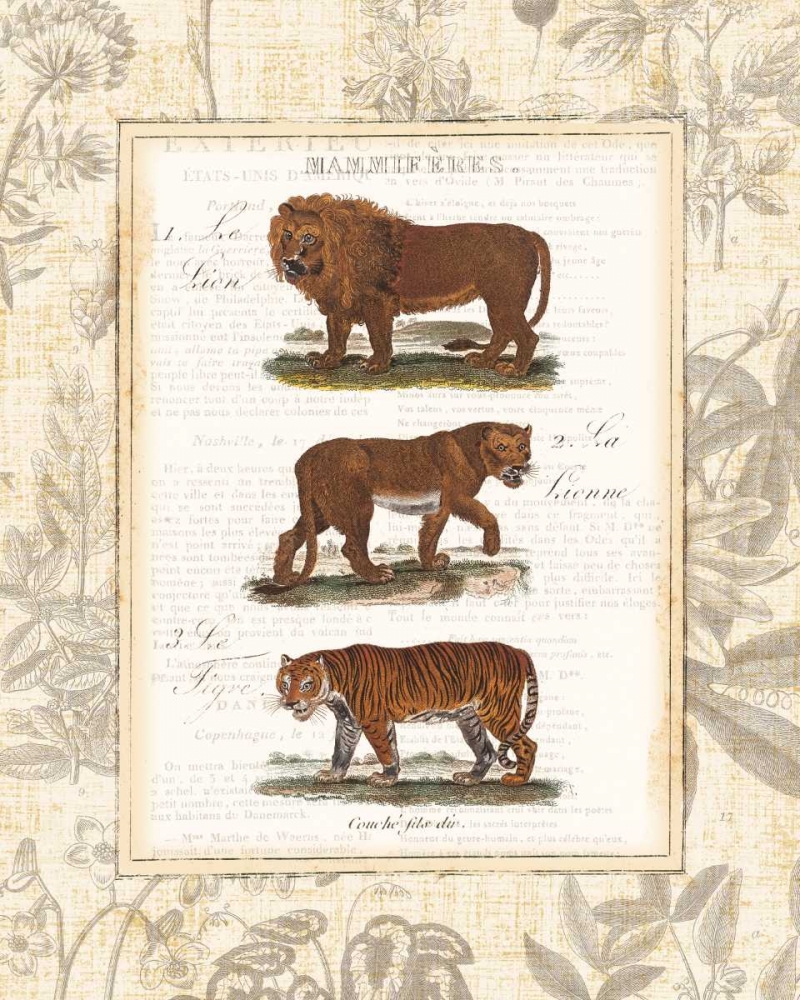 Wall Art Painting id:21010, Name: African Animals IV, Artist: Wild Apple Portfolio