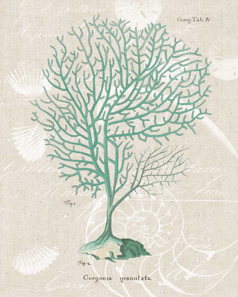 Wall Art Painting id:21889, Name: Gorgonia Granulata on Linen Sea Foam, Artist: Wild Apple Portfolio