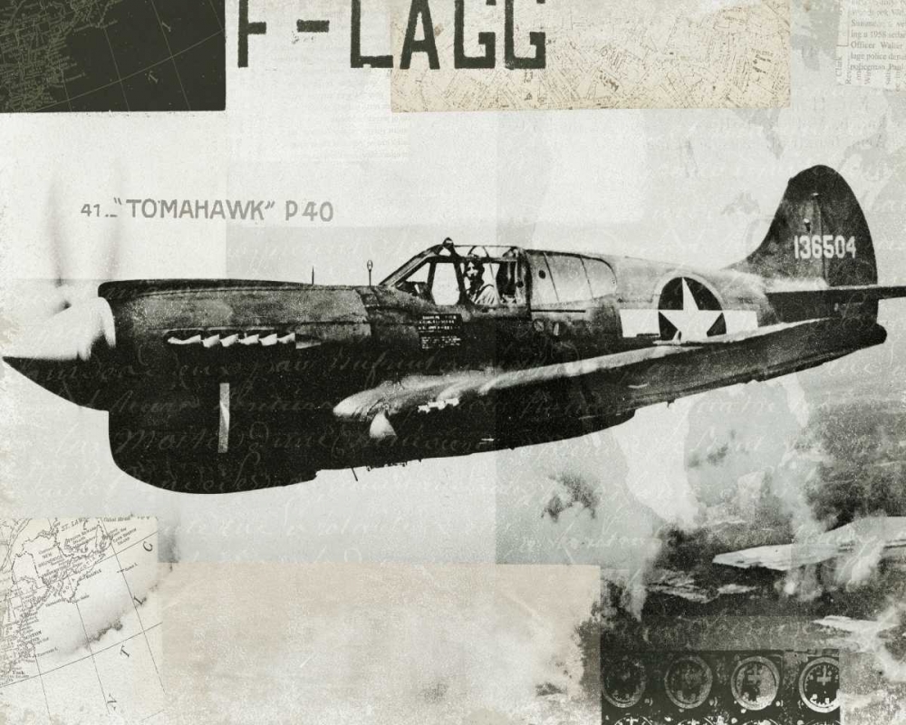 Wall Art Painting id:28528, Name: Wings Collage II, Artist: Wild Apple Portfolio