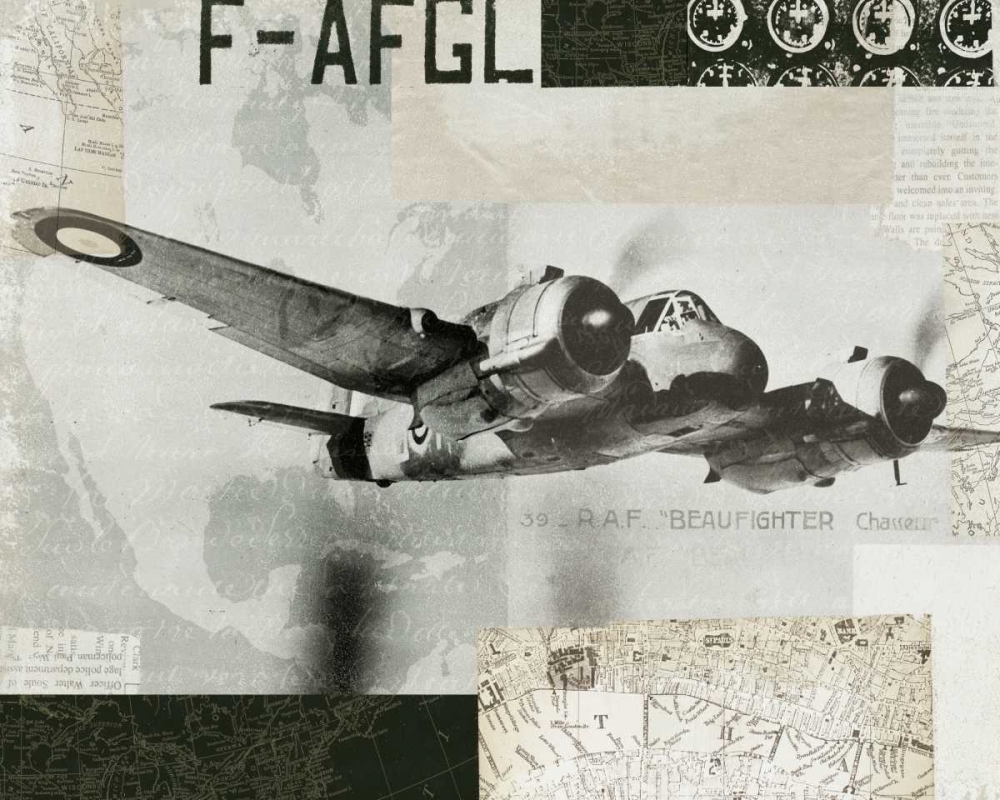 Wall Art Painting id:28529, Name: Wings Collage III, Artist: Wild Apple Portfolio