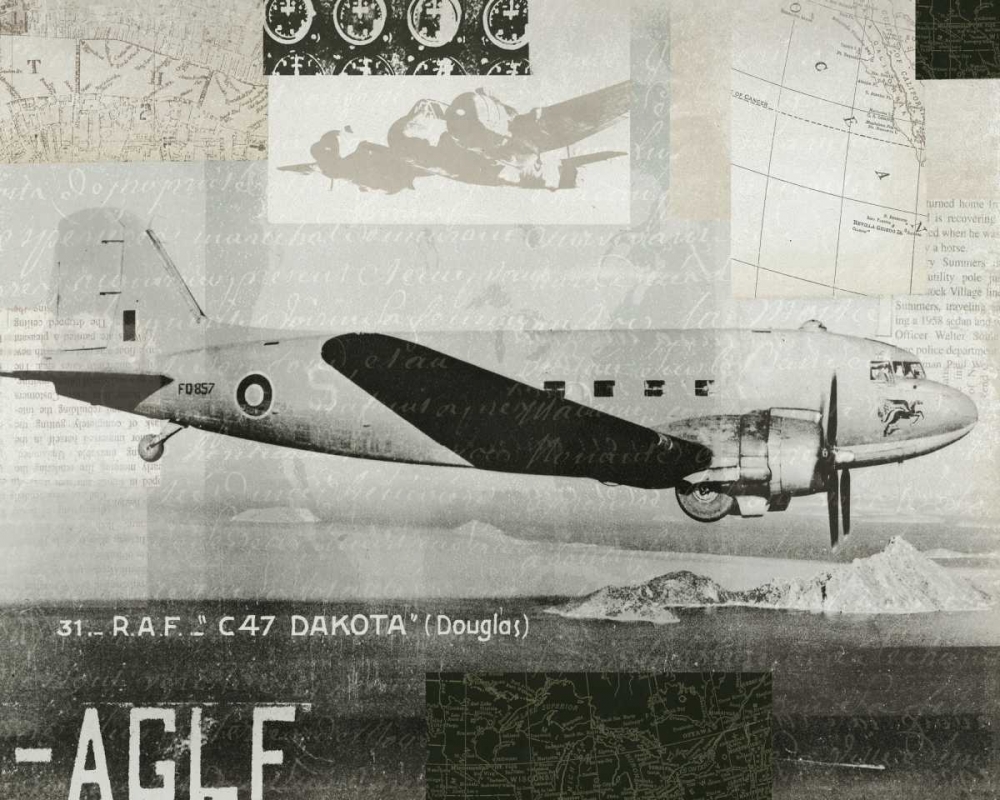 Wall Art Painting id:28530, Name: Wings Collage IV, Artist: Wild Apple Portfolio