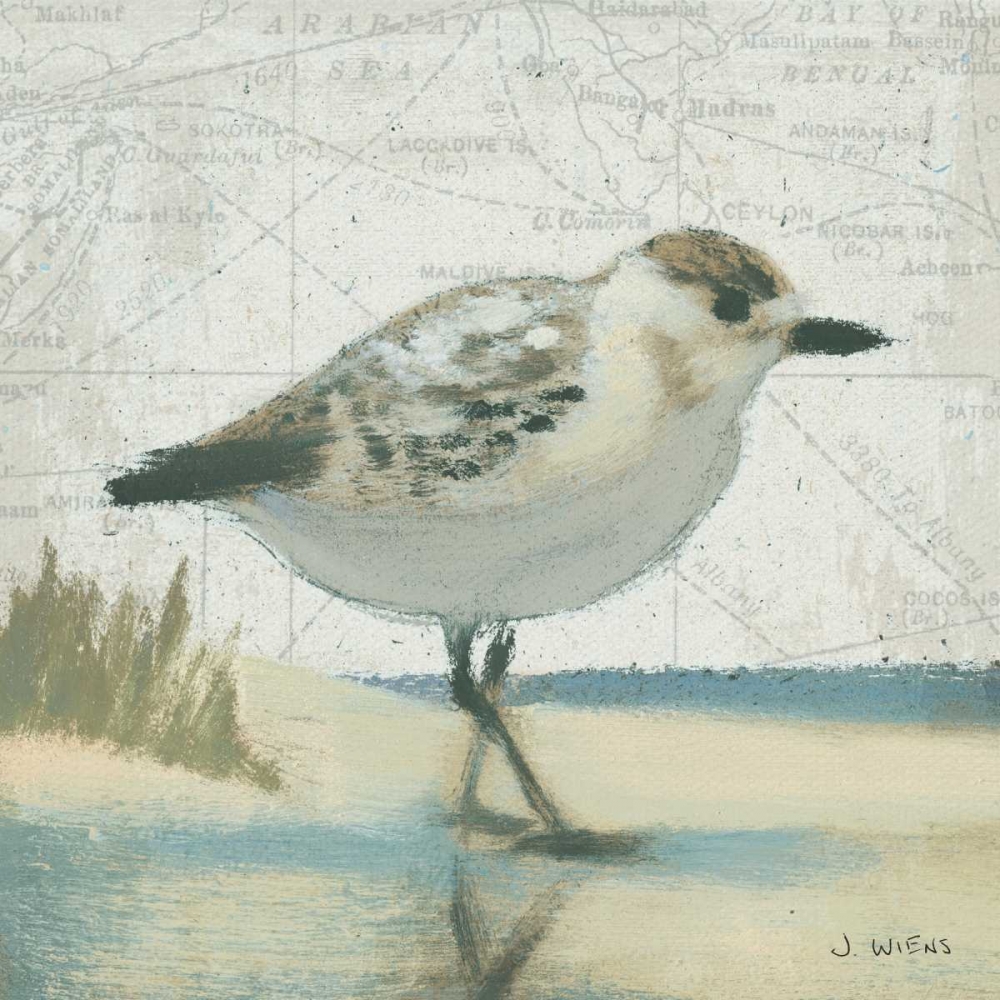 Wall Art Painting id:28574, Name: Beach Bird I, Artist: Wiens, James