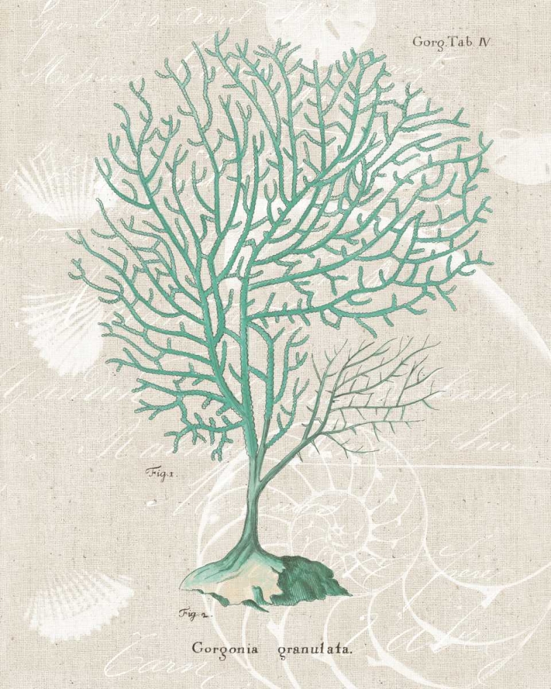 Art Print: Gorgonia Granulata on Linen Sea Foam