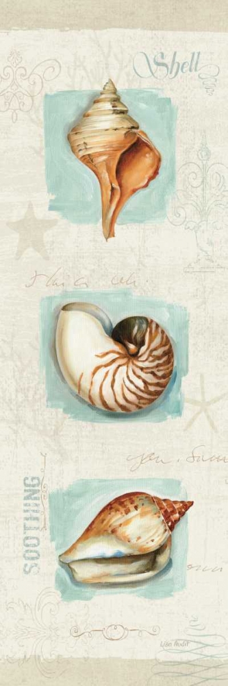 Art Print: Coastal Jewels Panel II