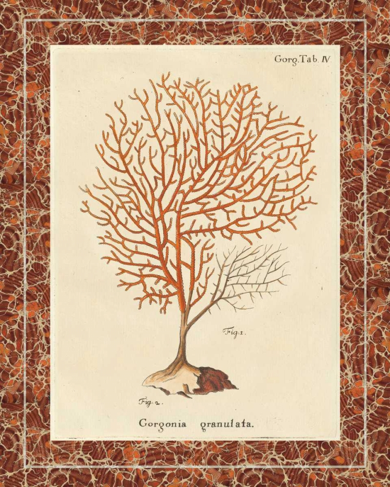 Wall Art Painting id:28002, Name: Gorgonia Granulata Marble, Artist: Wild Apple Portfolio