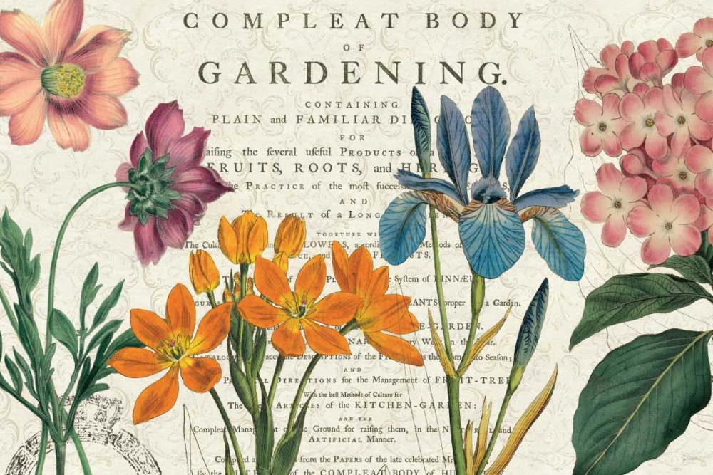 Wall Art Painting id:32296, Name: Botany, Artist: Schlabach, Sue