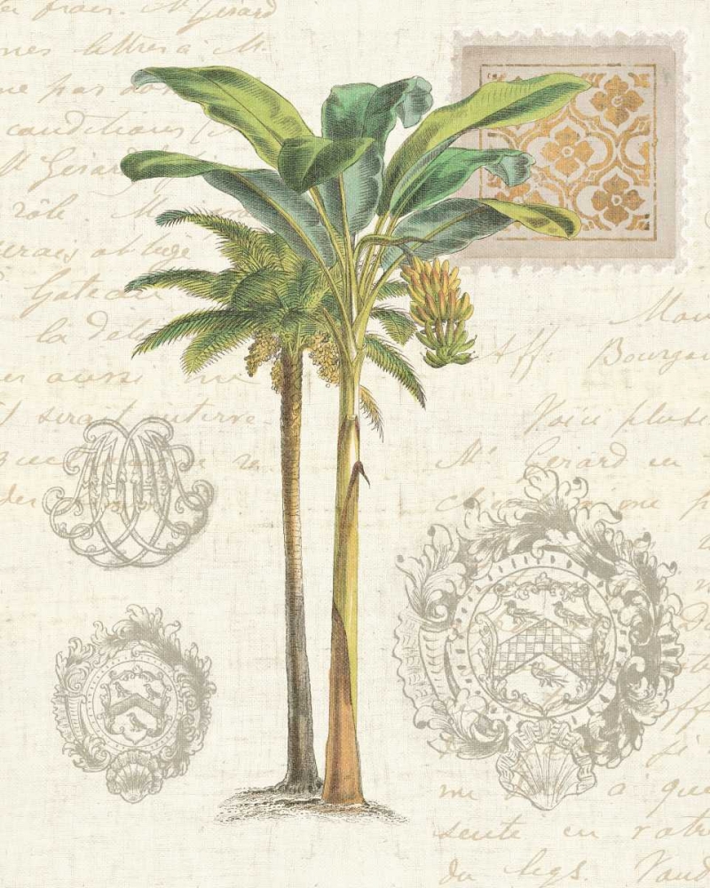 Wall Art Painting id:34312, Name: Vintage Palm Study I, Artist: Wild Apple Portfolio