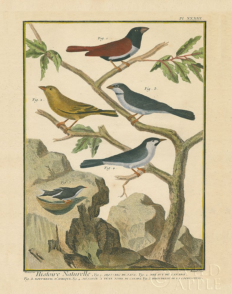 Wall art: Bird Drawing IV, by Wild Apple Portfolio