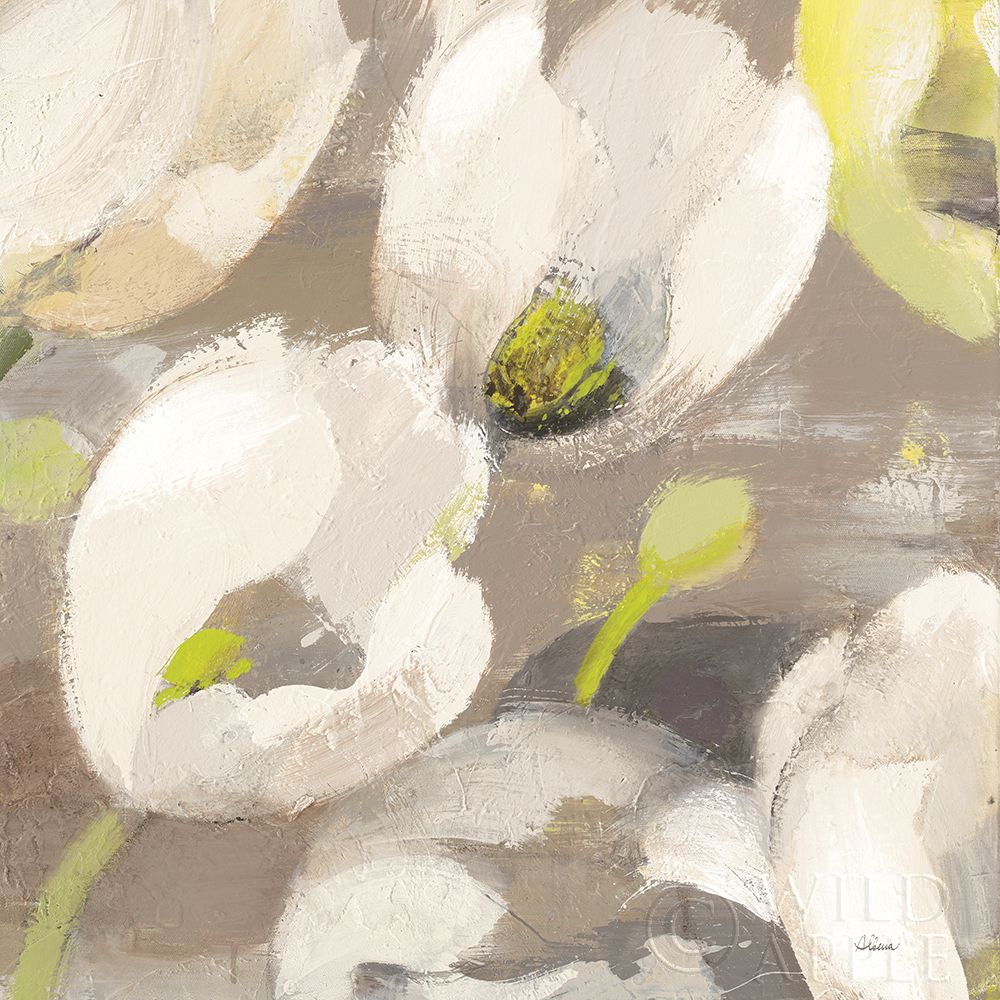 Wall Art Painting id:255668, Name: Tulip Delight I Crop, Artist: Hristova, Albena