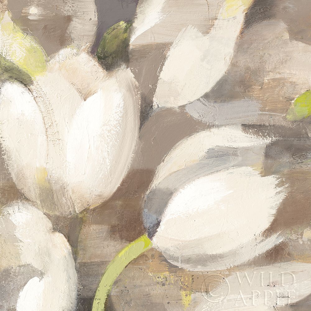 Wall Art Painting id:255669, Name: Tulip Delight II Crop, Artist: Hristova, Albena