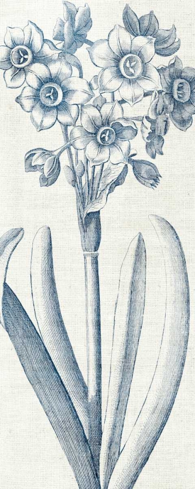 Wall art: Eden I  Indigo and White, by Wild Apple Portfolio