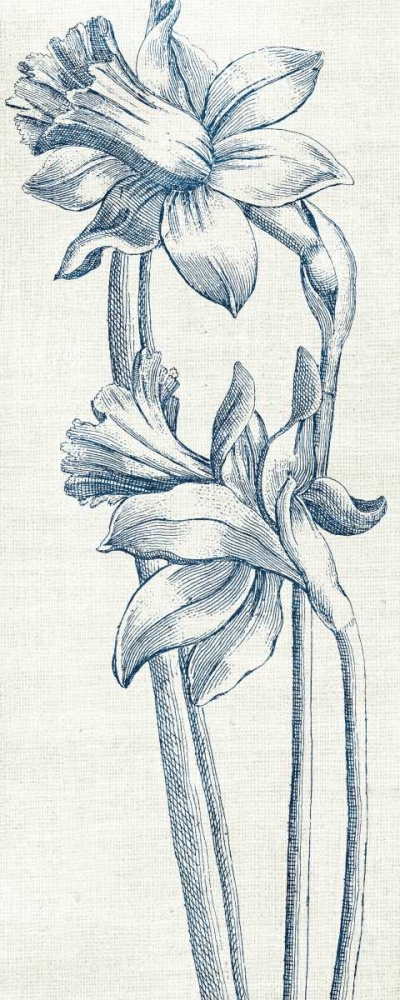 Wall art: Eden II  Indigo and White, by Wild Apple Portfolio