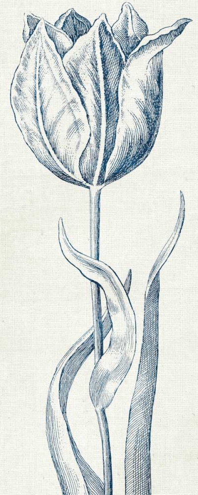 Wall art: Eden IV  Indigo and White, by Wild Apple Portfolio