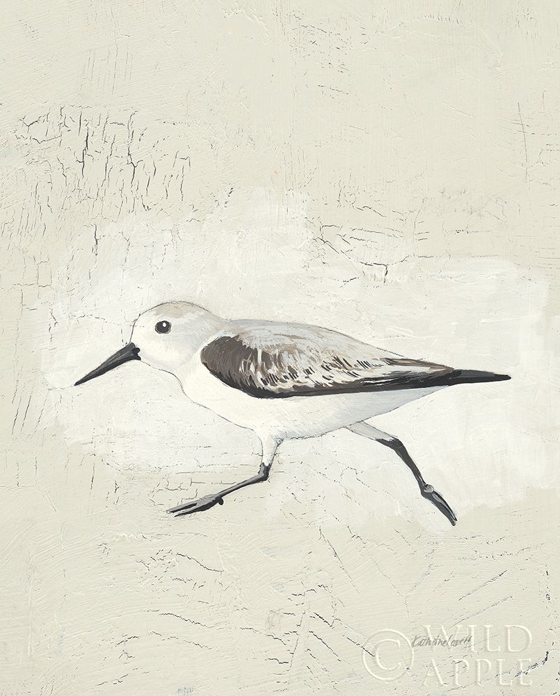 Wall Art Painting id:382641, Name: Sea Birds II, Artist: Lovell, Kathrine