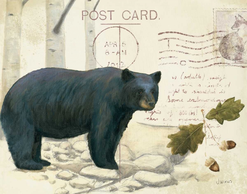 Wall Art Painting id:57555, Name: Northern Wild IV, Artist: Wiens, James