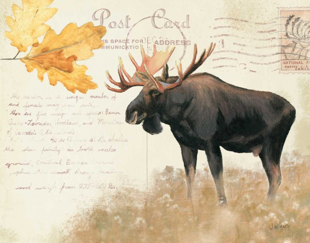 Wall Art Painting id:57557, Name: Northern Wild III, Artist: Wiens, James