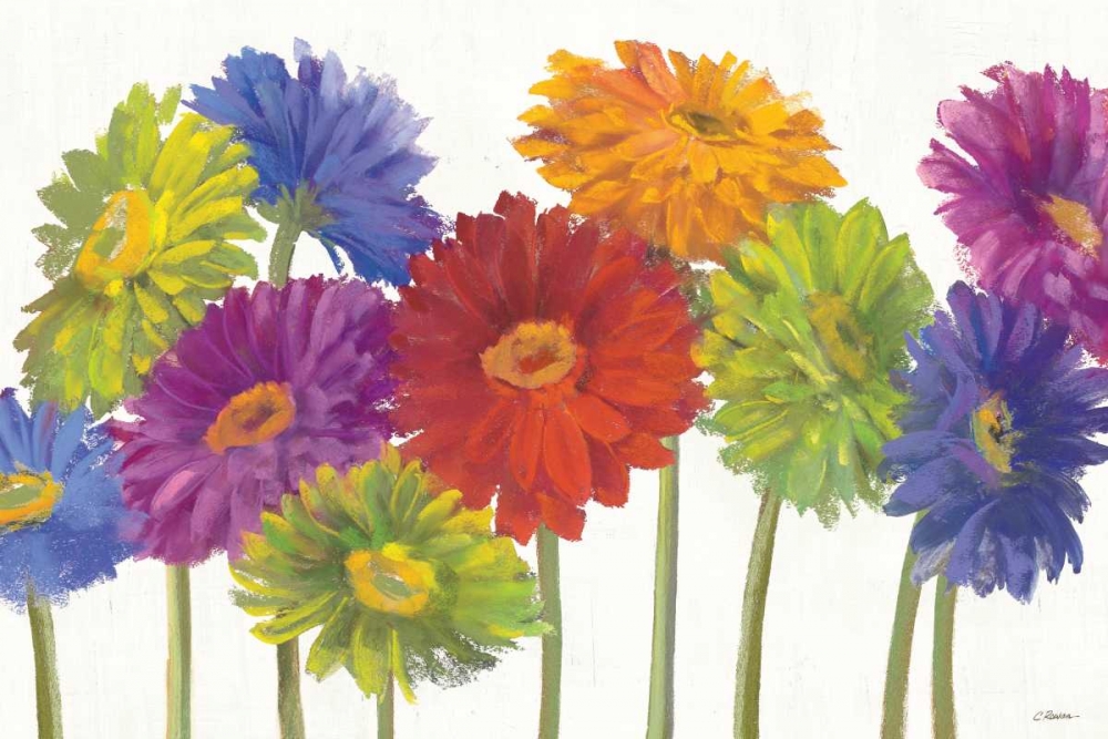 Wall Art Painting id:57573, Name: Colorful Gerbera Daisies, Artist: Rowan, Carol