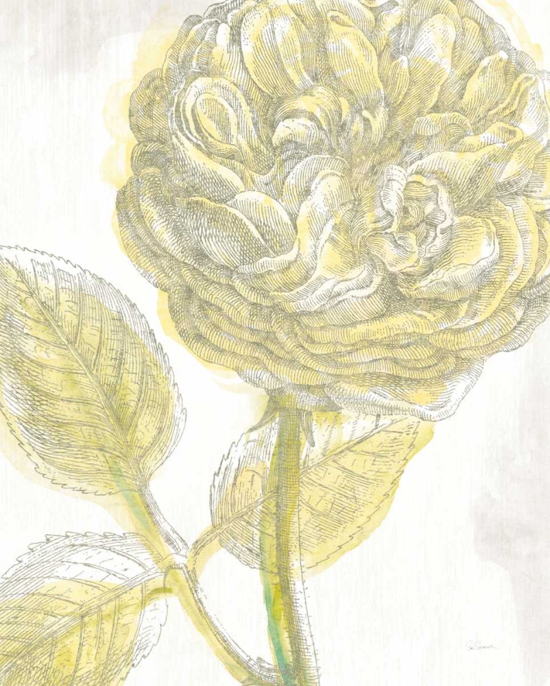 Art Print: Belle Fleur Yellow III Crop