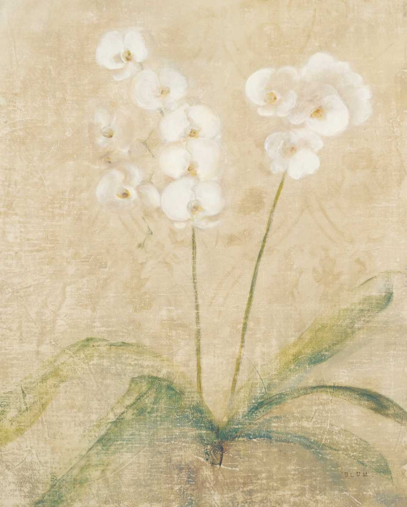 Wall Art Painting id:73723, Name: Orchid Cool, Artist: Blum, Cheri