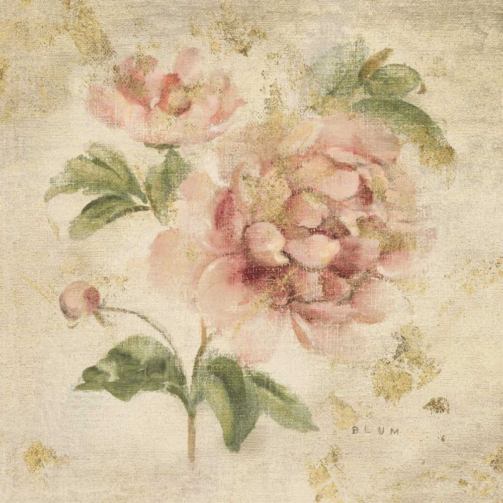 Wall Art Painting id:73724, Name: Coral Rose on Antique Linen Light Gold, Artist: Blum, Cheri