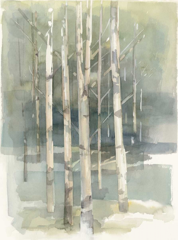 Wall Art Painting id:73374, Name: Birch Grove I, Artist: Tillmon, Avery
