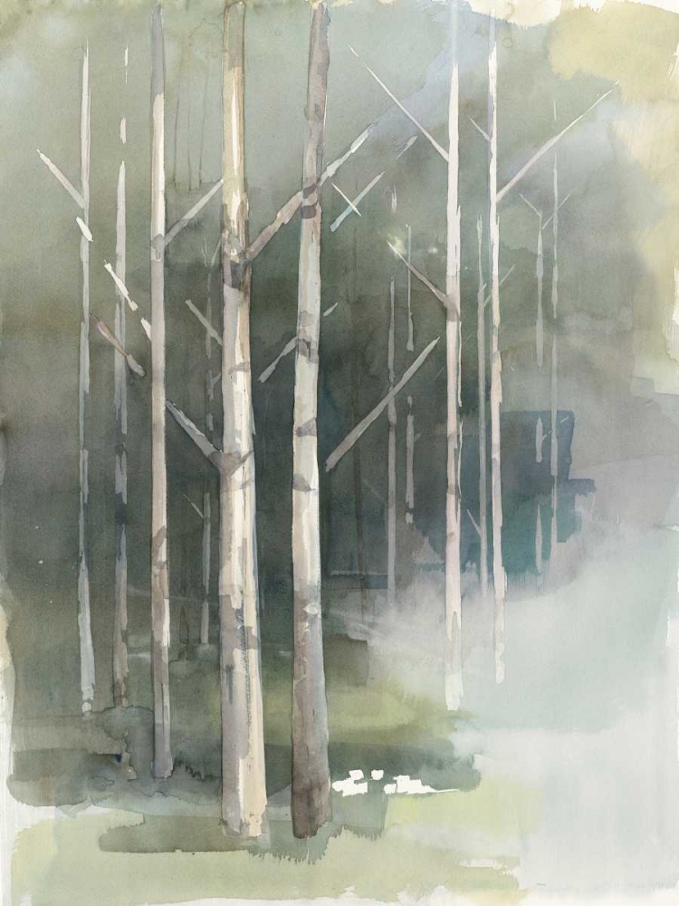 Art Print: Birch Grove II