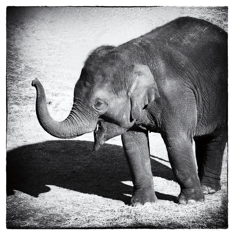 Similar wall art painting: 330298