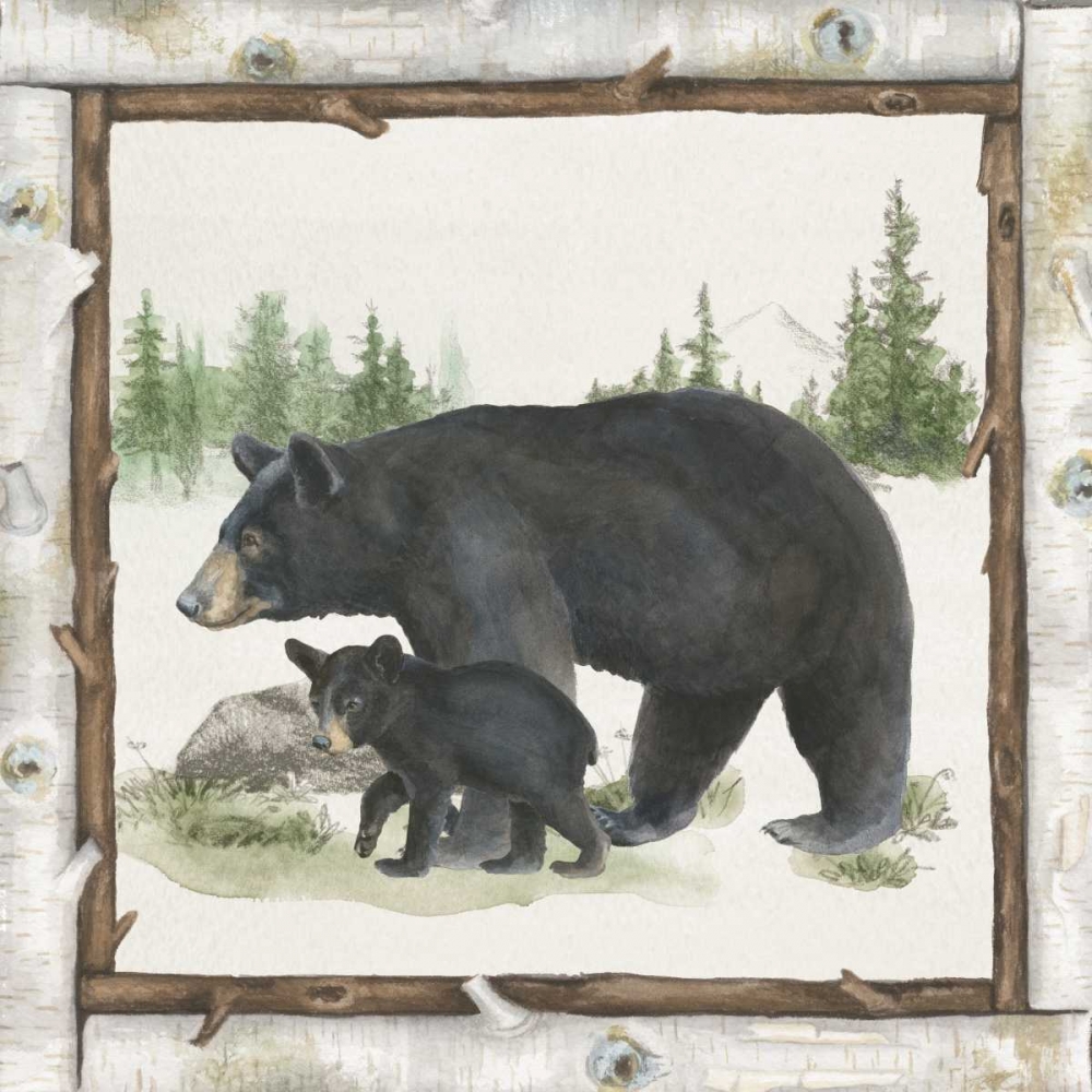 Wall Art Painting id:73477, Name: Family Cabin IV, Artist: Grove, Beth