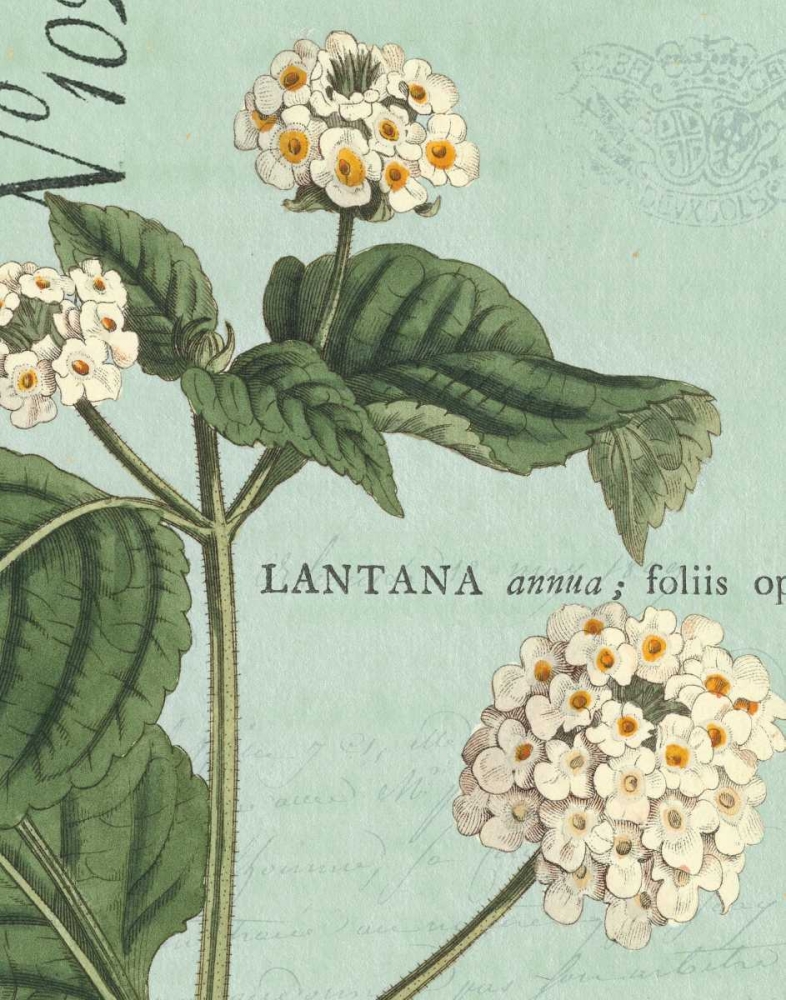 Wall Art Painting id:17998, Name: Botanique Bleu I, Artist: Wild Apple Portfolio