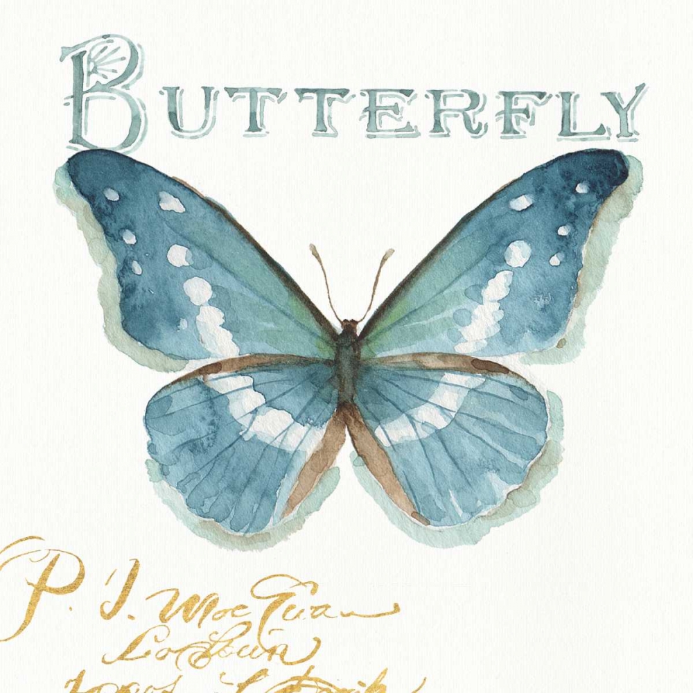Wall Art Painting id:93249, Name: My Greenhouse Butterflies II, Artist: Audit, Lisa