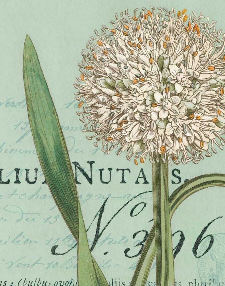 Wall Art Painting id:17999, Name: Botanique Bleu II, Artist: Wild Apple Portfolio