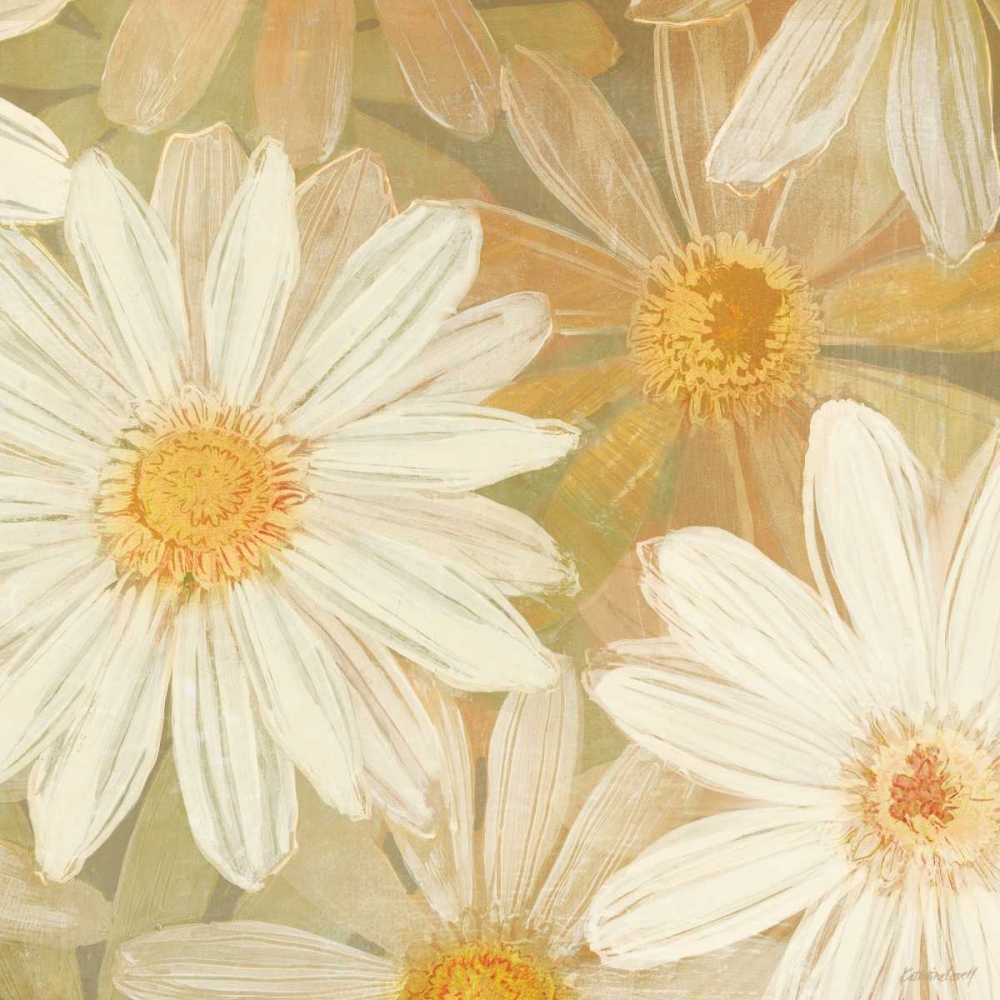 Wall Art Painting id:18949, Name: Daisy Story Square II, Artist: Lovell, Kathrine