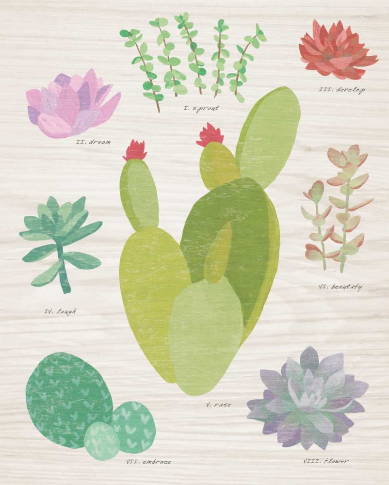 Wall Art Painting id:73445, Name: Succulent Chart III on Wood, Artist: Wild Apple Portfolio