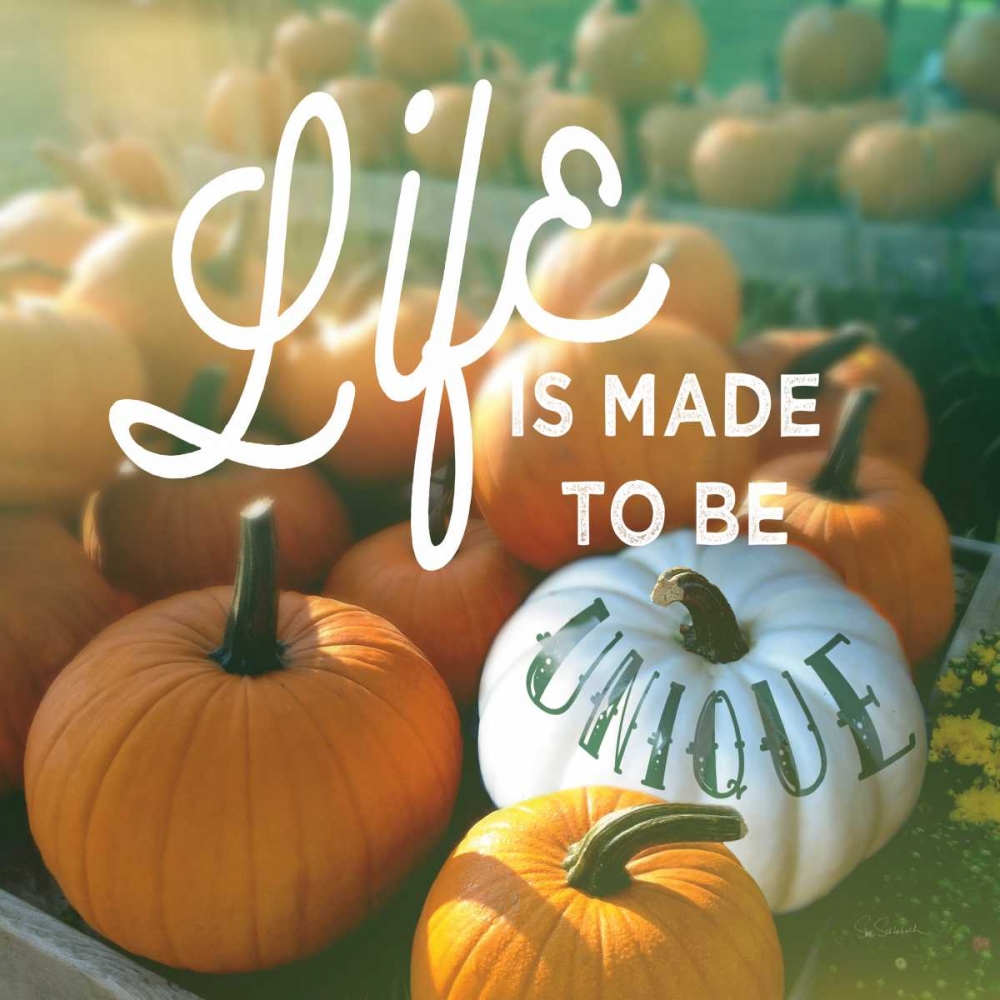 Wall Art Painting id:73459, Name: Life is Unique, Artist: Schlabach, Sue