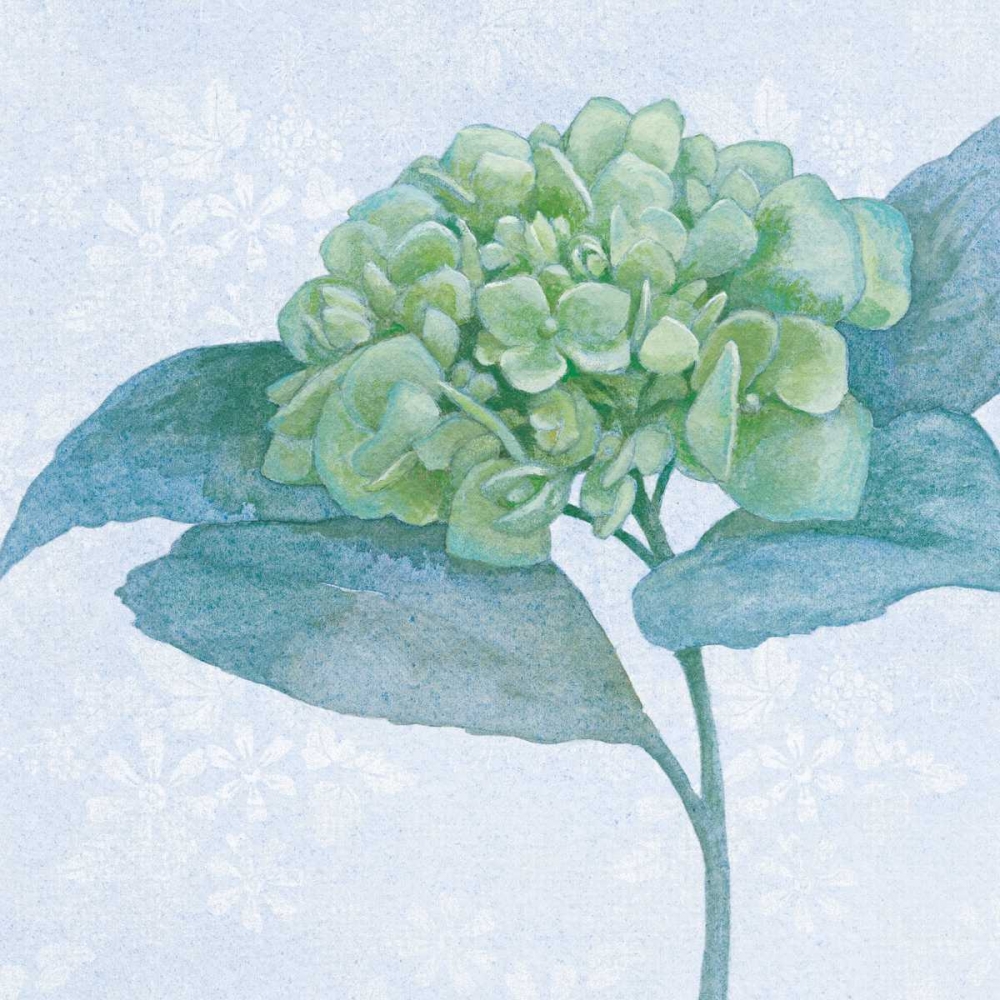 Wall Art Painting id:77884, Name: Blue Hydrangea II, Artist: Grove, Beth