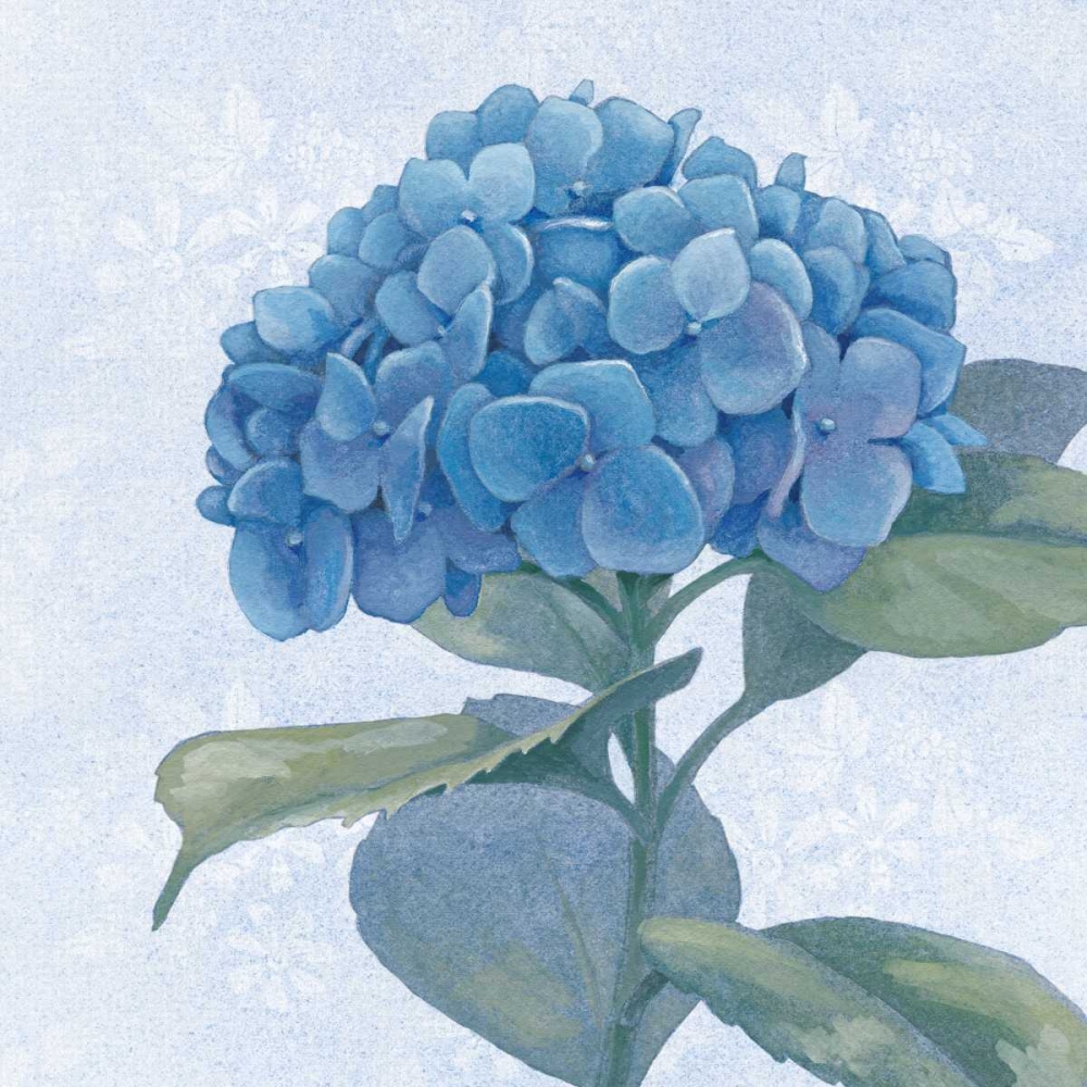 Wall Art Painting id:77886, Name: Blue Hydrangea IV, Artist: Grove, Beth