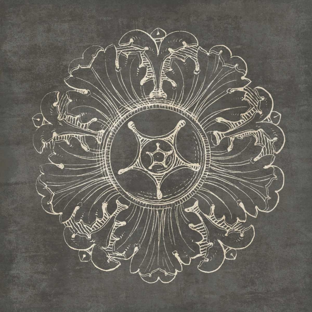 Wall Art Painting id:77901, Name: Rosette VI Gray, Artist: Wild Apple Portfolio