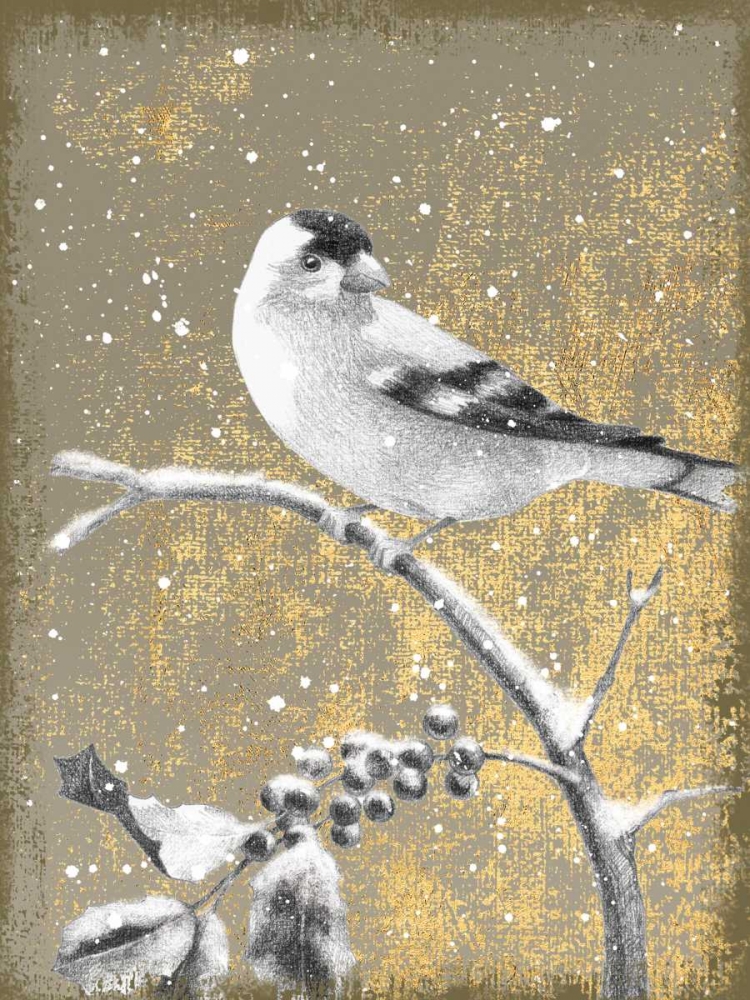 Wall Art Painting id:85781, Name: Winter Birds Goldfinch Neutral, Artist: Grove, Beth