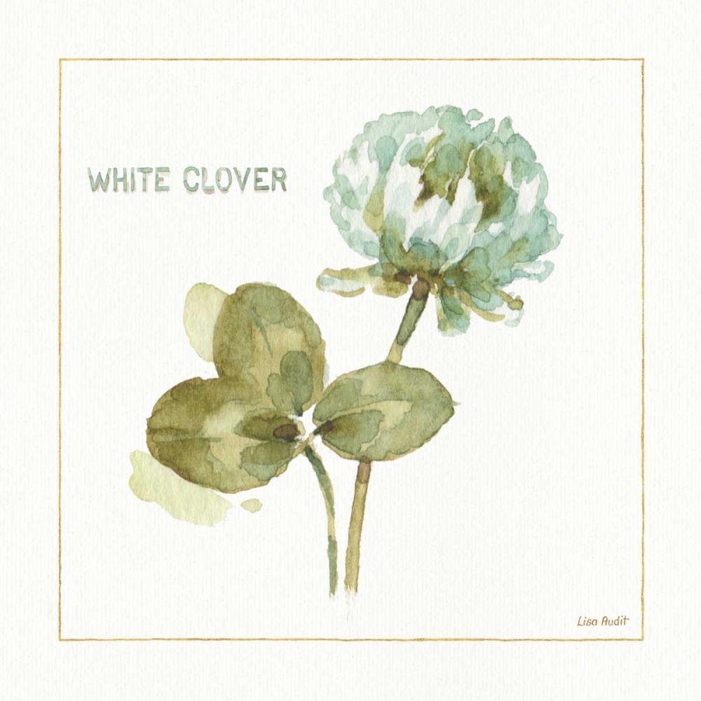 Wall Art Painting id:93292, Name: My Greenhouse White Clover, Artist: Audit, Lisa