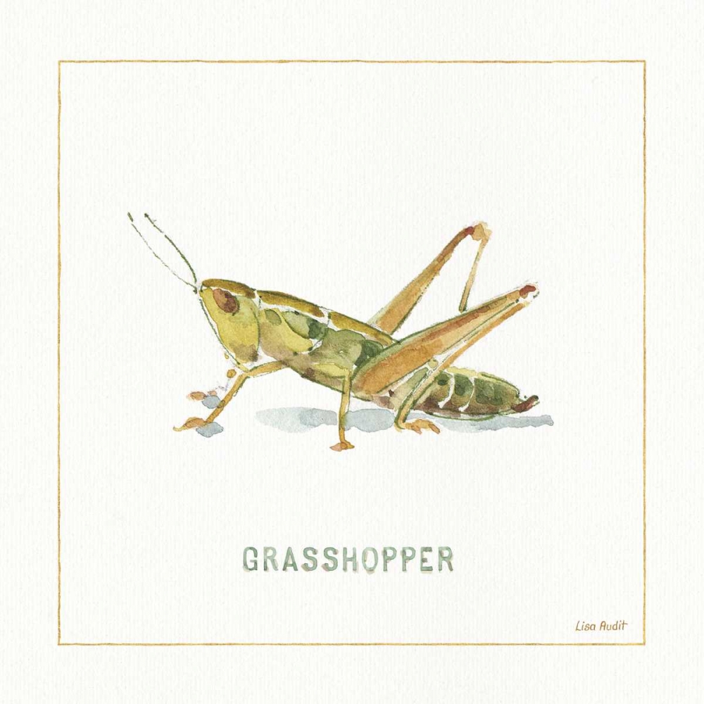 Wall Art Painting id:93293, Name: My Greenhouse Grasshopper, Artist: Audit, Lisa