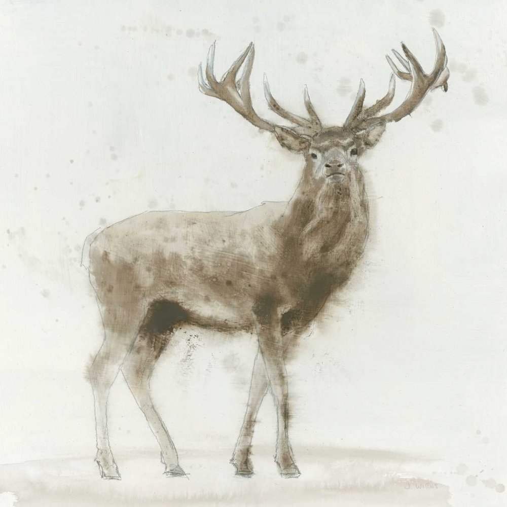 Wall Art Painting id:80713, Name: Stag v.2 , Artist: Wiens, James