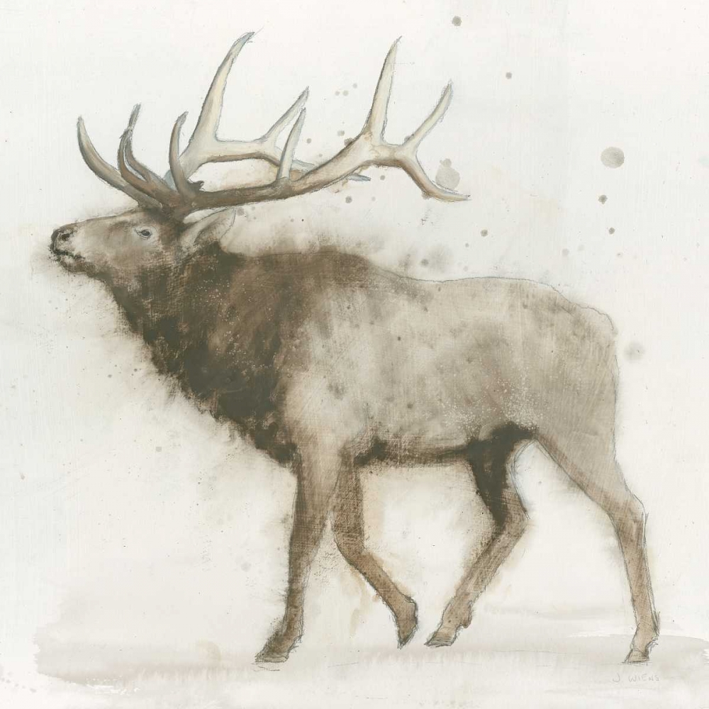 Wall art: Elk v.2 , by Wiens, James