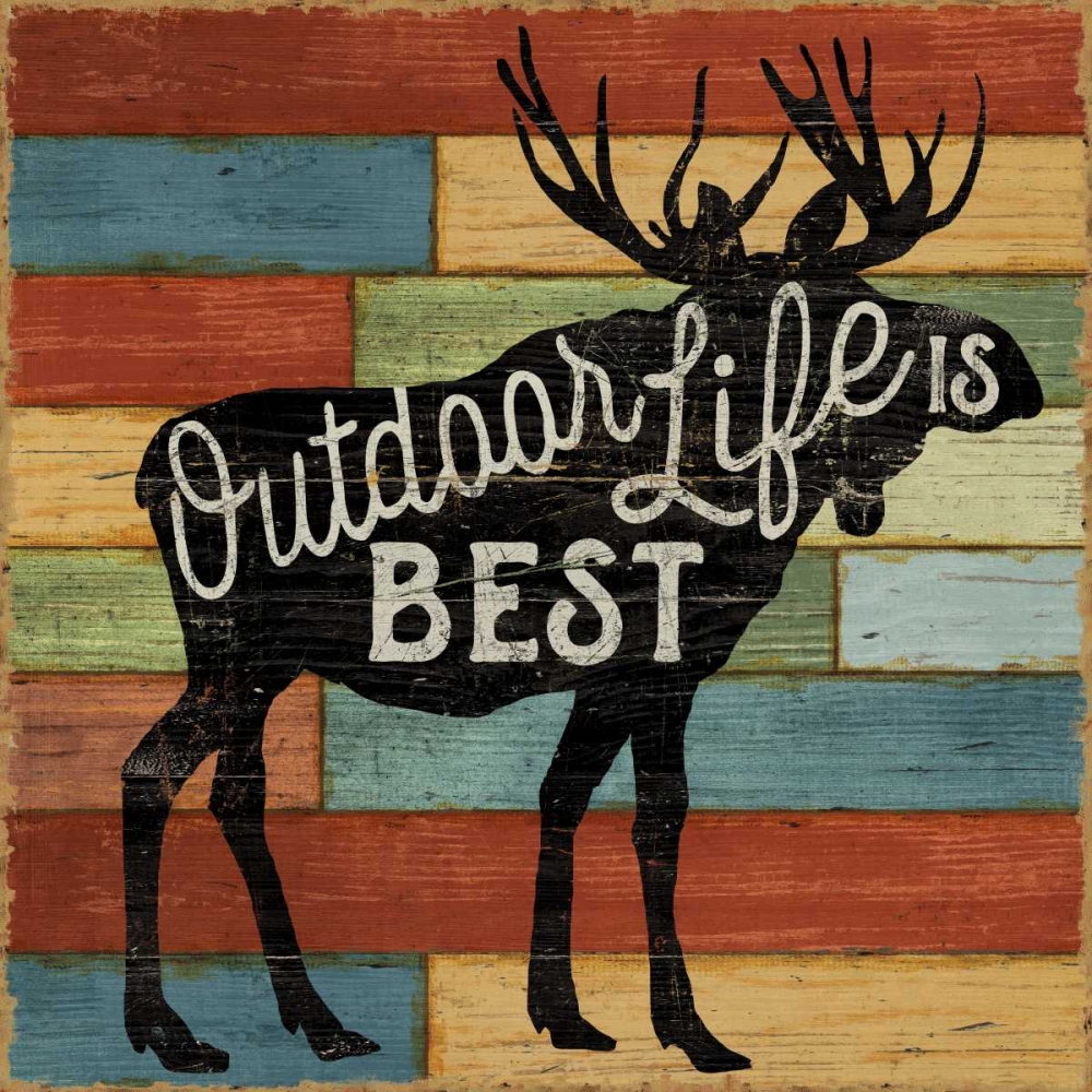 Wall Art Painting id:80717, Name: Lake Lodge I, Artist: Schlabach, Sue