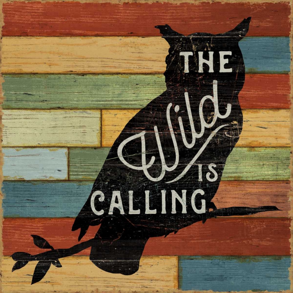 Wall Art Painting id:80719, Name: Lake Lodge III, Artist: Schlabach, Sue