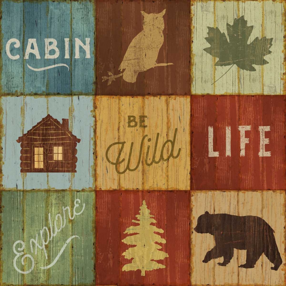 Wall Art Painting id:80724, Name: Lake Lodge VIII, Artist: Schlabach, Sue