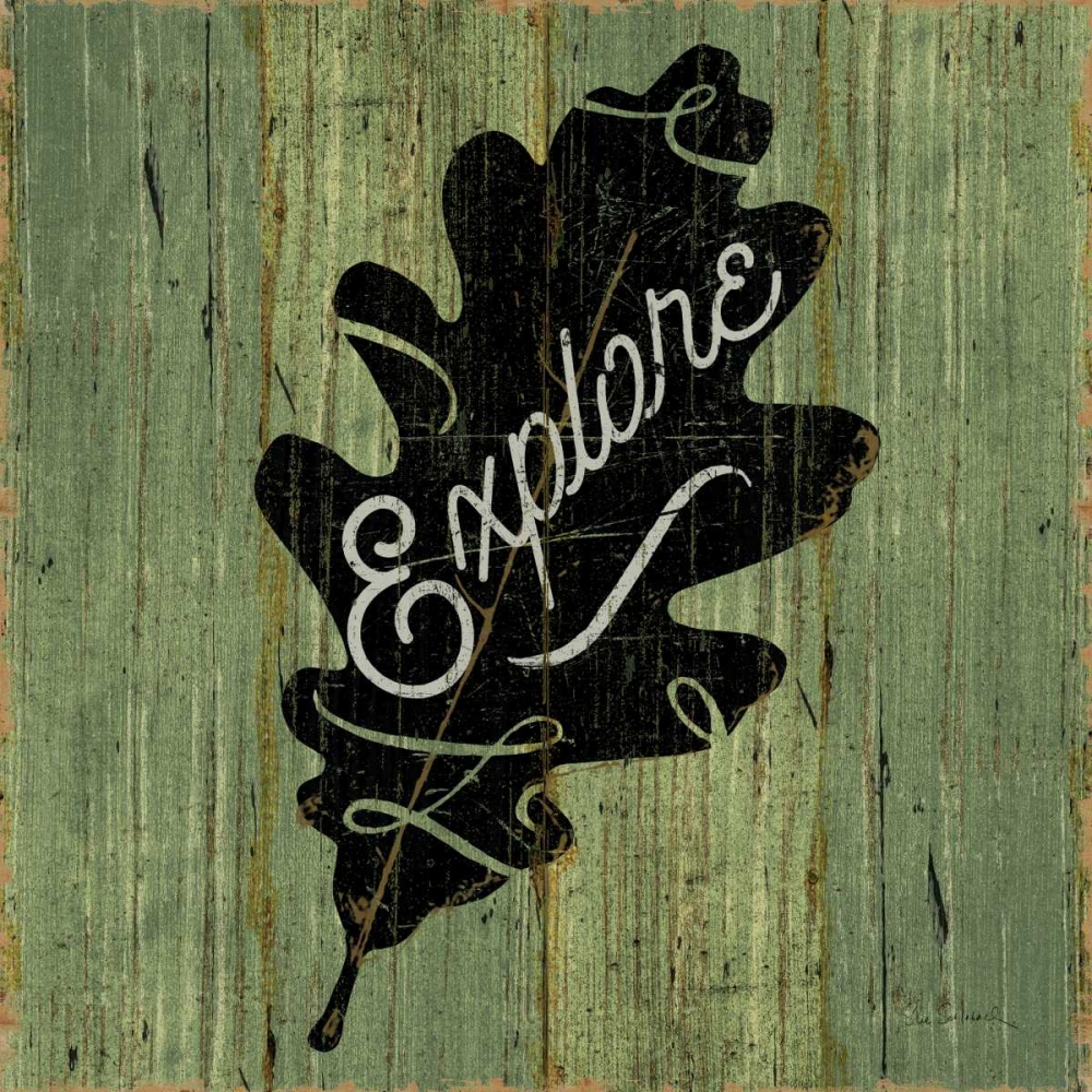 Wall Art Painting id:80728, Name: Lake Lodge XII , Artist: Schlabach, Sue