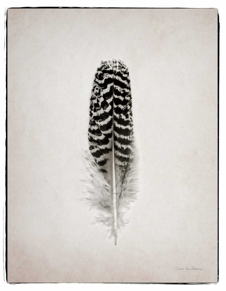 Art Print: Feather I BW 